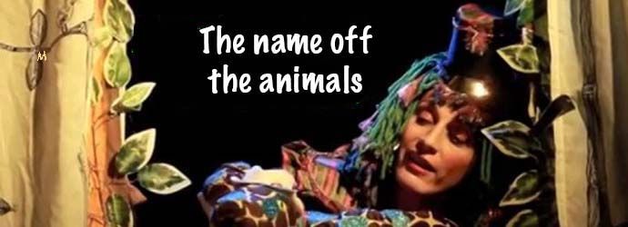 Solange Freyre - The name of the animals
